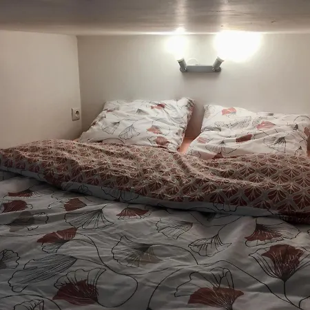 Appartement Le Jungle Studio