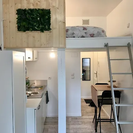 Le Jungle Studio Appartement Rouen