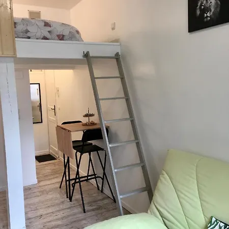 Le Jungle Studio *