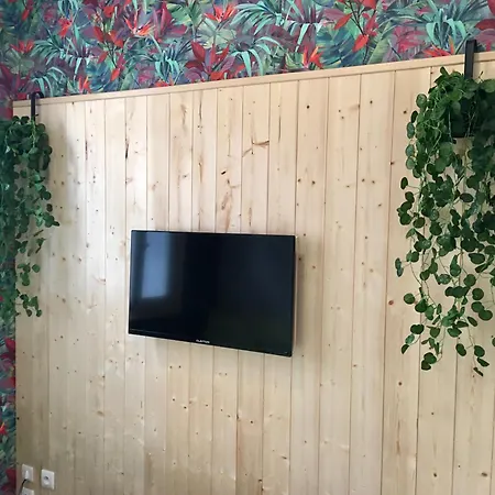 Appartement Le Jungle Studio